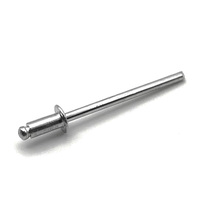 111457 1/8 DOME HEAD BLIND RIVET 3/16-1/4 STAINLESS STEEL/STAINLESS STEEL